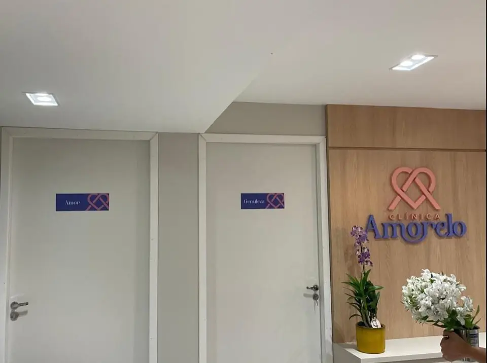 Amorelo — Identificação de portas e recepção